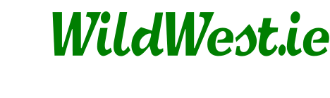 WildWest.ie