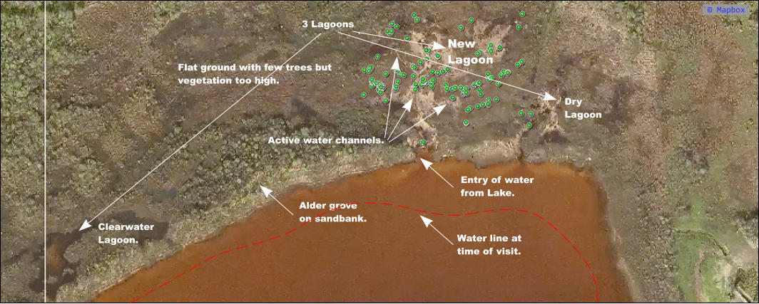 `© Mapbox´ 3 Lagoons ClearwaterLagoon. NewLagoon DryLagoon Entry of waterfrom Lake. Alder groveon sandbank. Flat ground with few trees butvegetation too high. Active water channels. Water line attime of visit.