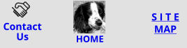 ContactUs S I T E MAP HOME
